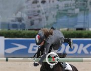 Giordano Carlton Wonder CsioArJYR SS7 8097 : CSIO Giovani Arezzo, Carlton Wonder, Giordano Martina, foto Stefano Secchi ©